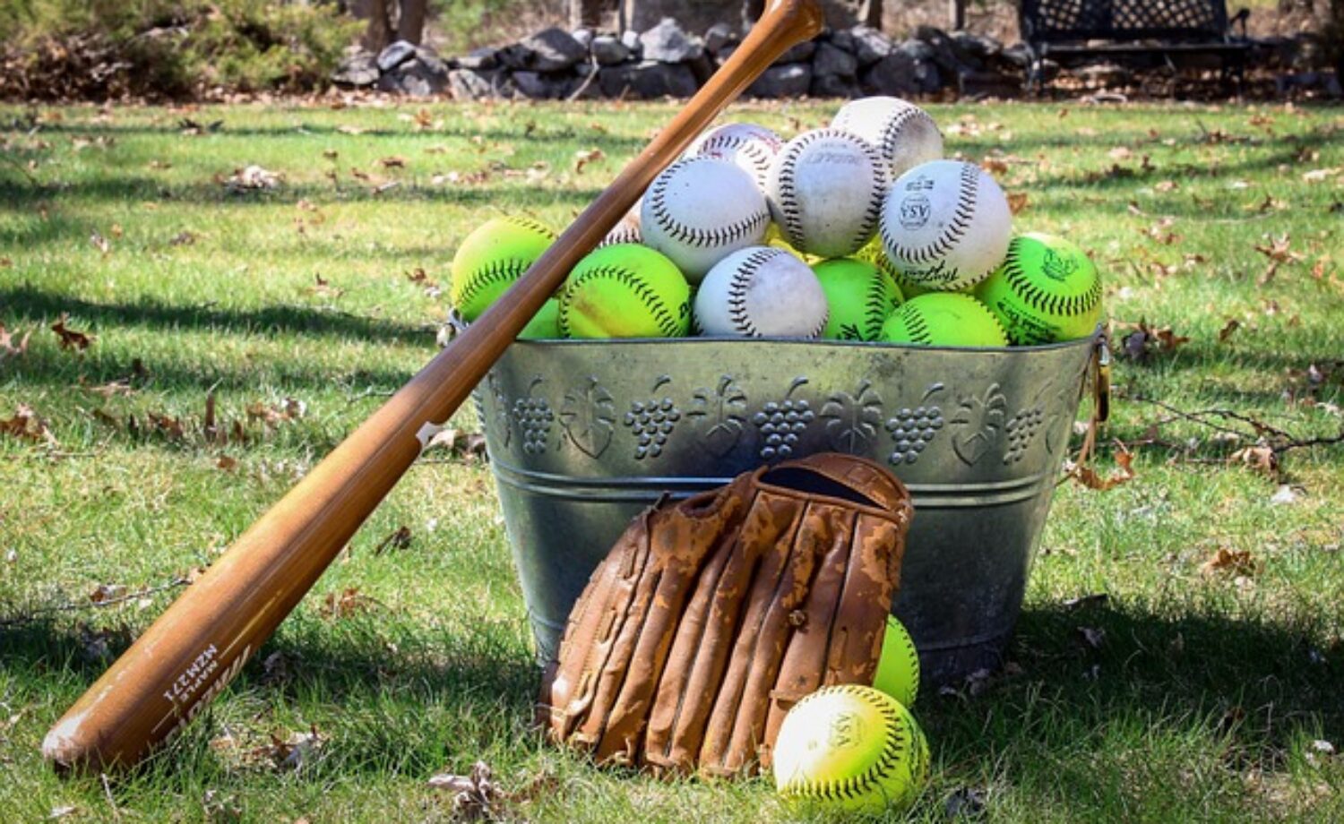 Wood vs. Aluminum Bat – Which is the Best Baseball Bat?